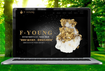 ���縩�����ﱦʯ